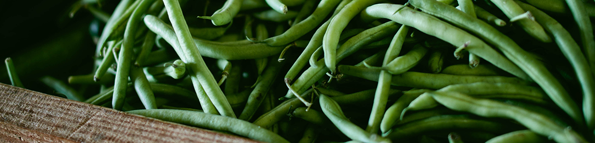 fresh green beans